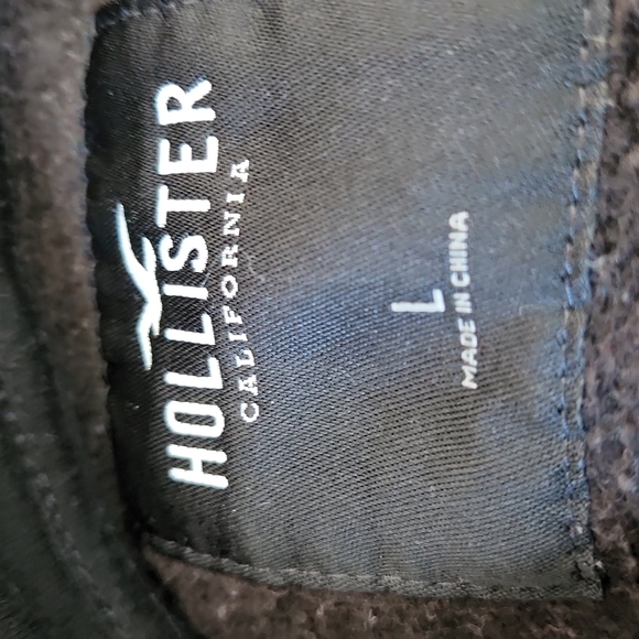 Hollister Logo Hoodie - Picture 7 of 9